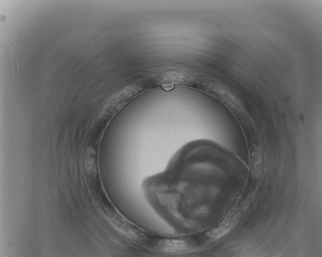 X0000062140361200512161223