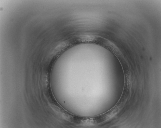 X0000062140362200512161223