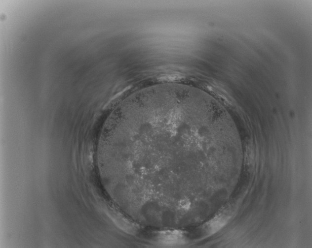 X0000062140363200512161223