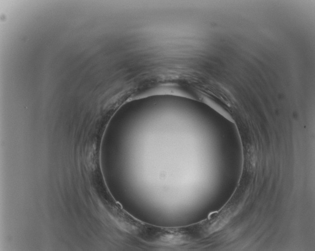 X0000062140364200512161224