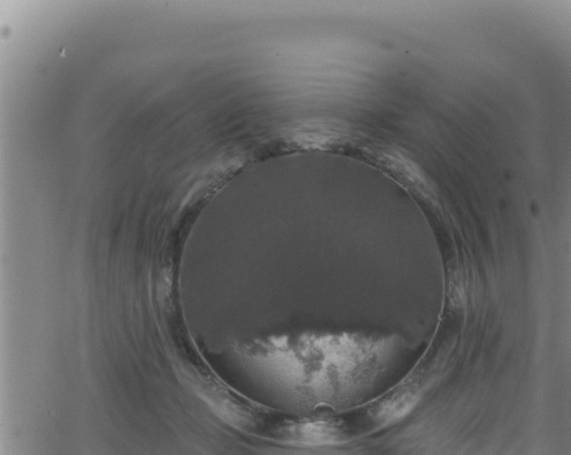 X0000062140365200512161224