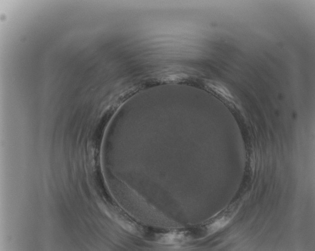 X0000062140366200512161224