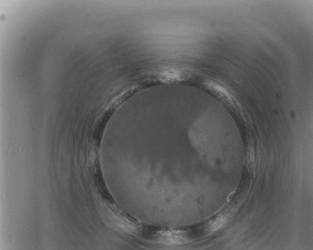 X0000062140367200512161224