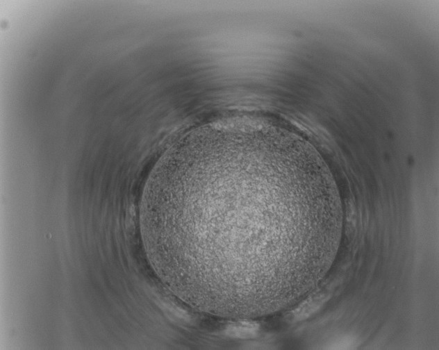 X0000062140369200512161224