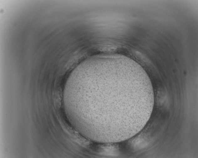 X0000062140370200512161224