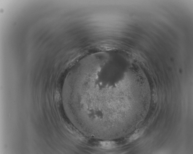 X0000062140371200512161224