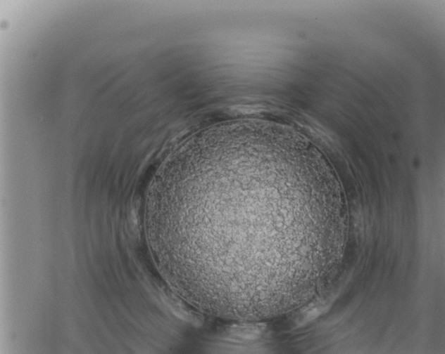 X0000062140373200512161224