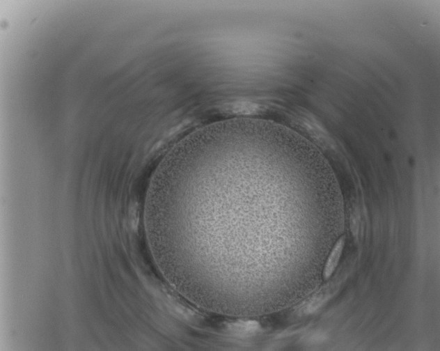 X0000062140374200512161224