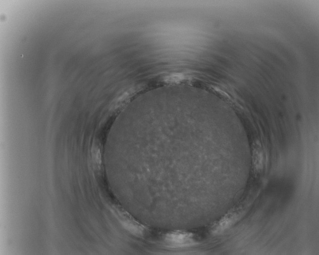 X0000062140375200512161224