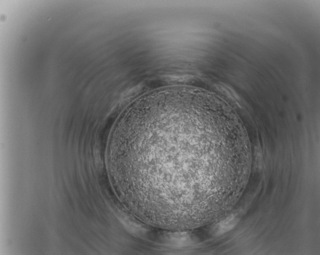 X0000062140377200512161224