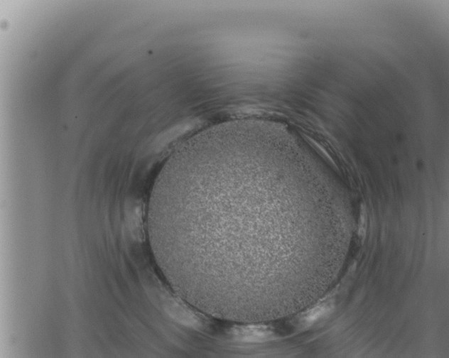 X0000062140378200512161224