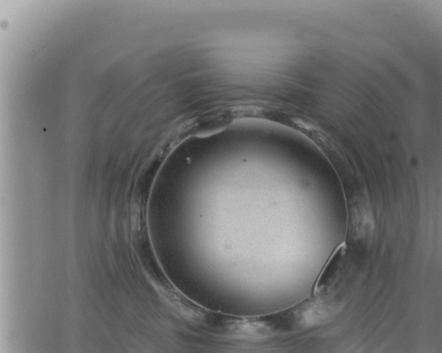 X0000062140379200512161224