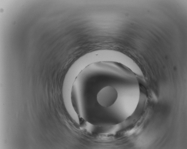 X0000062140380200512161224