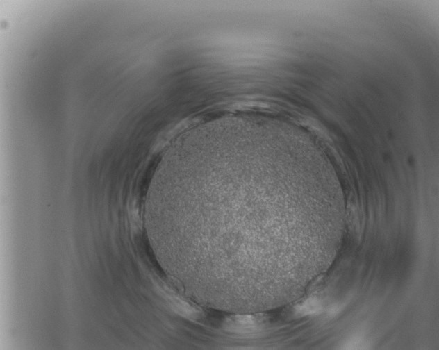 X0000062140381200512161224