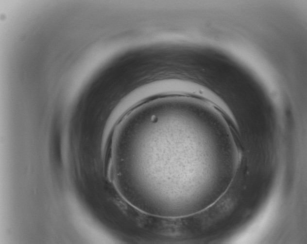 X0000062140382200512161224