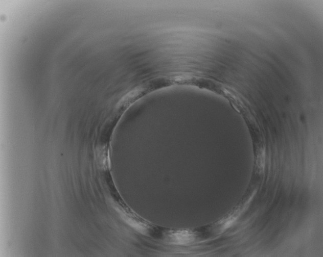 X0000062140383200512161224