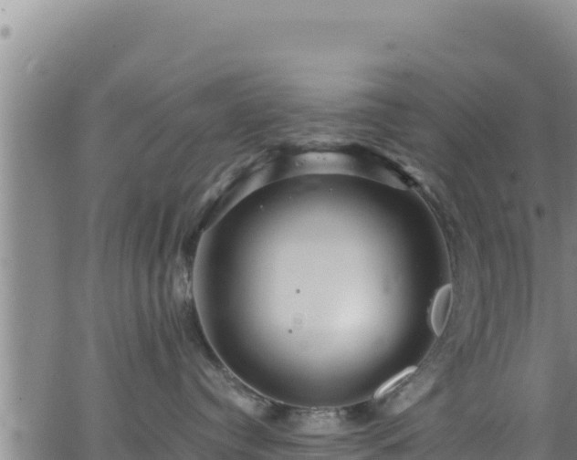 X0000062140384200512161224