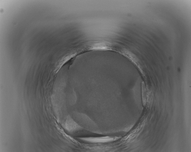 X0000062140385200512161223