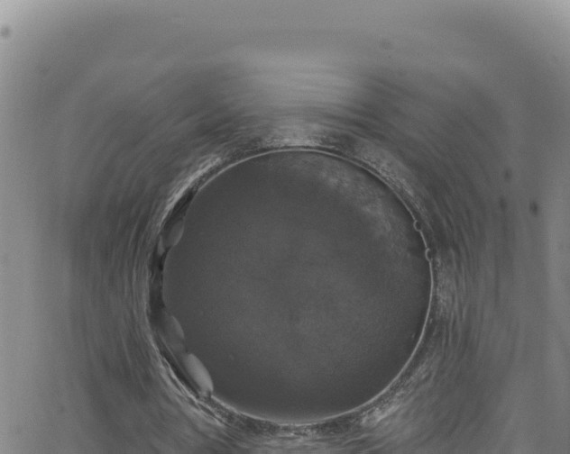 X0000062140386200512161223