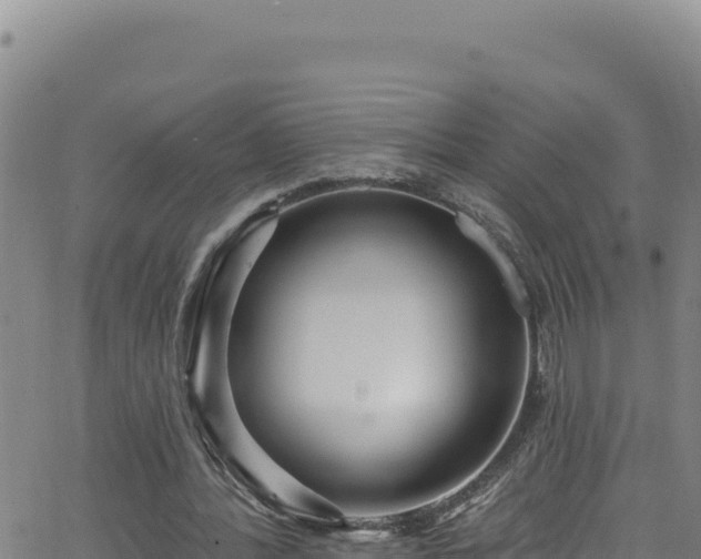 X0000062140388200512161223