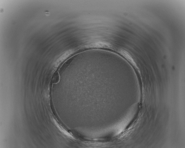 X0000062140389200512161223