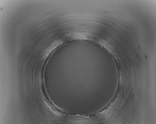 X0000062140390200512161223