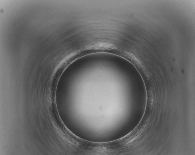 X0000062140392200512161223