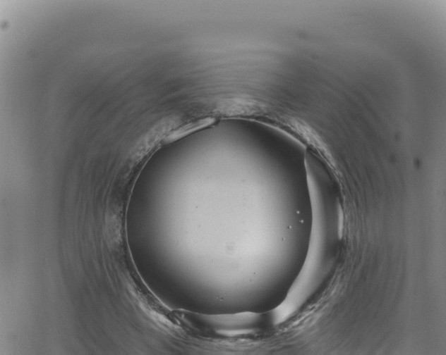 X0000062140393200512161223