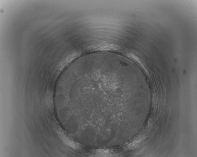 X0000062140394200512161223