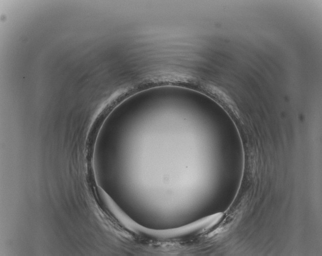 X0000062140395200512161223