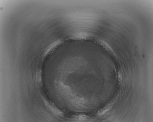 X0000062140396200512161223