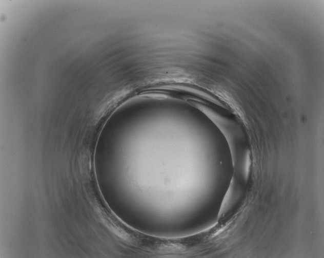 X0000062140397200512161223