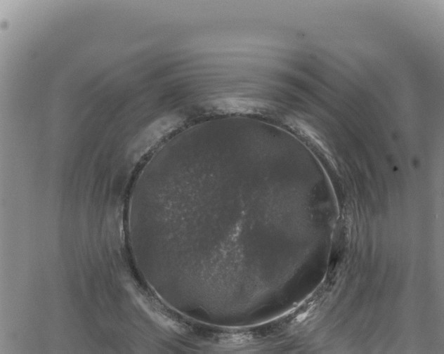 X0000062140398200512161223