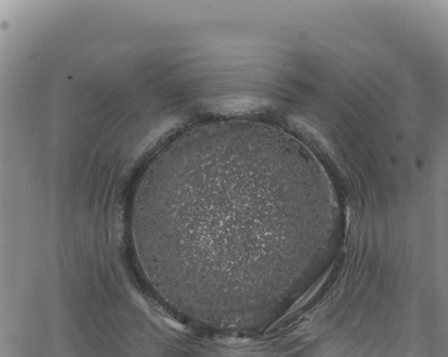 X0000062140400200512161223