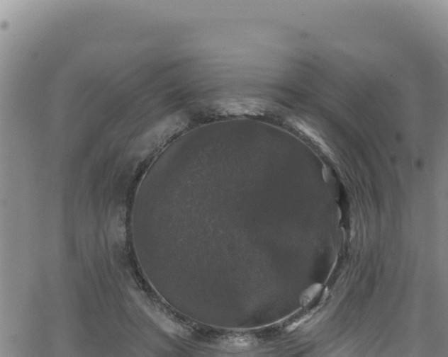 X0000062140402200512161223