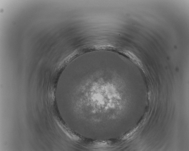 X0000062140405200512161223