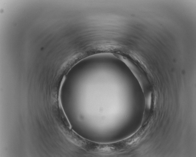 X0000062140407200512161223