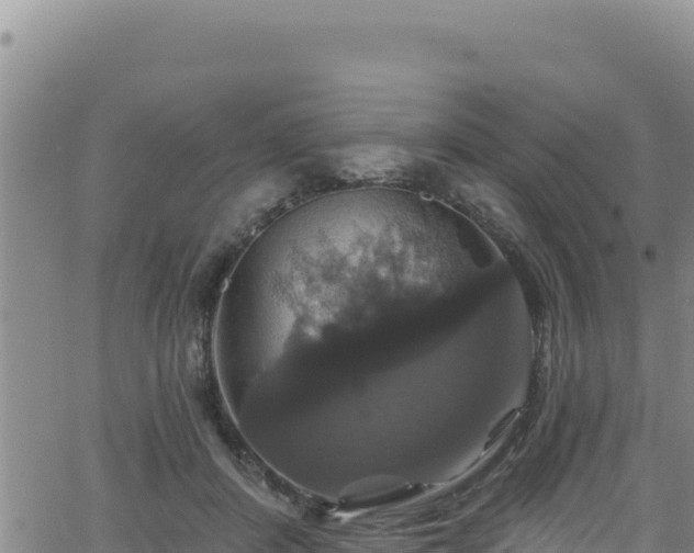 X0000062140408200512161223