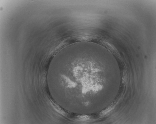 X0000062140409200512161223