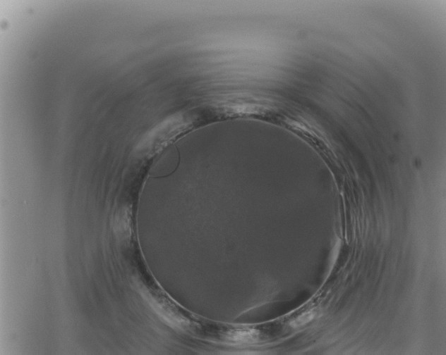 X0000062140410200512161223