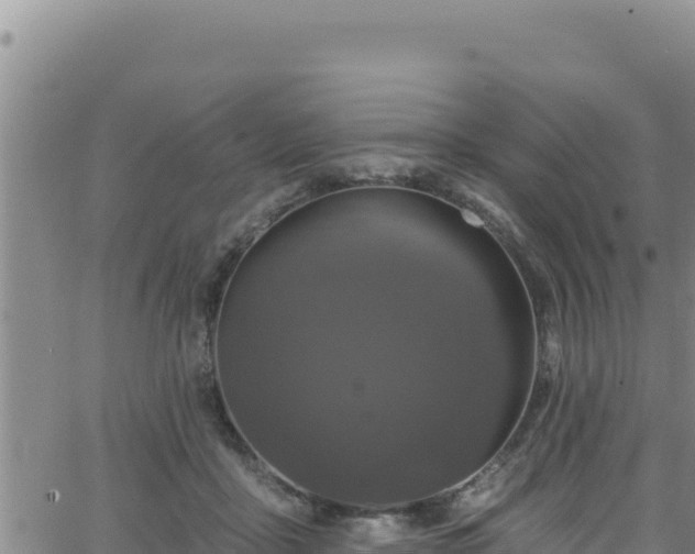 X0000062140411200512161223