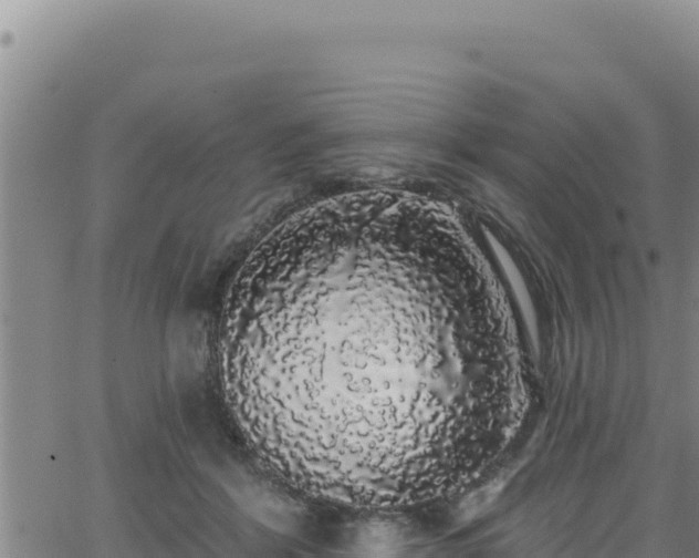 X0000062140412200512161223