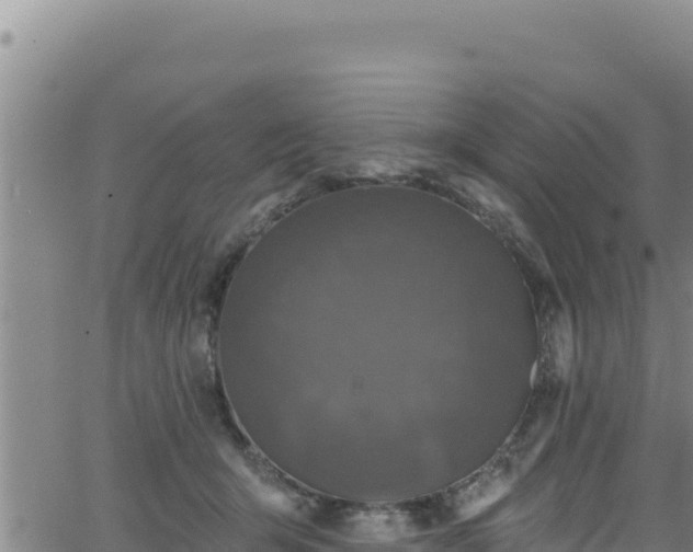 X0000062140415200512161223