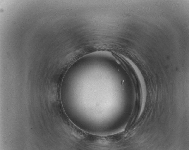 X0000062140416200512161223