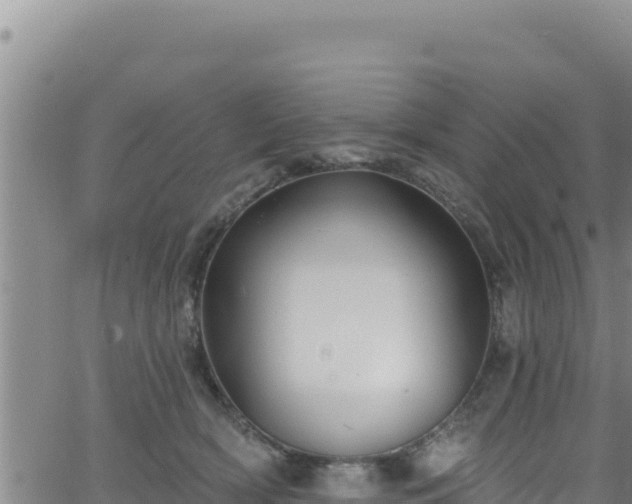 X0000062140418200512161222