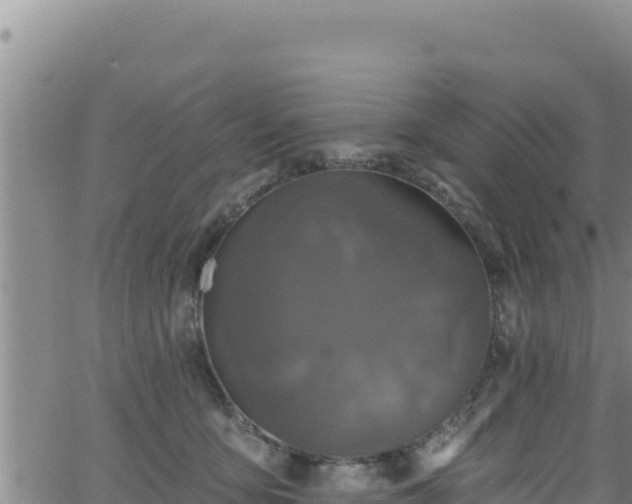 X0000062140419200512161222