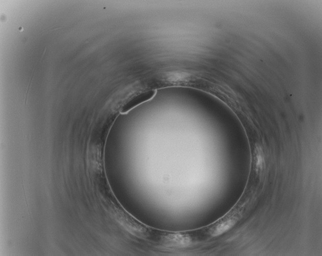 X0000062140421200512161222