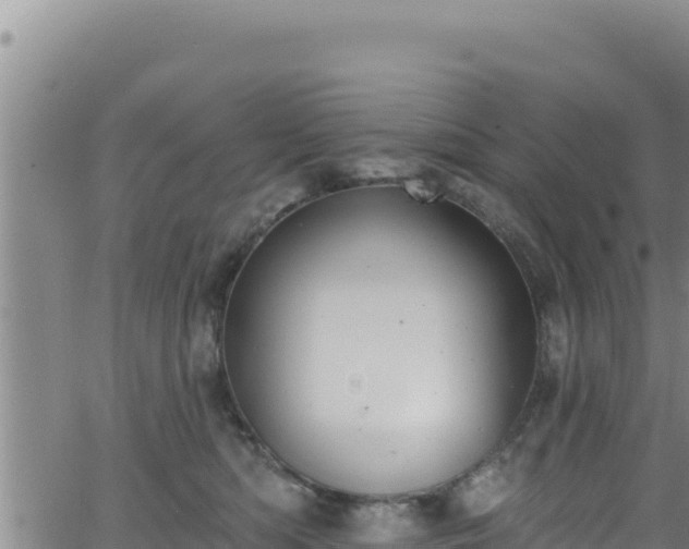 X0000062140422200512161222