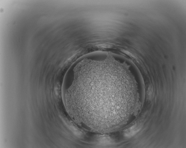 X0000062140424200512161222