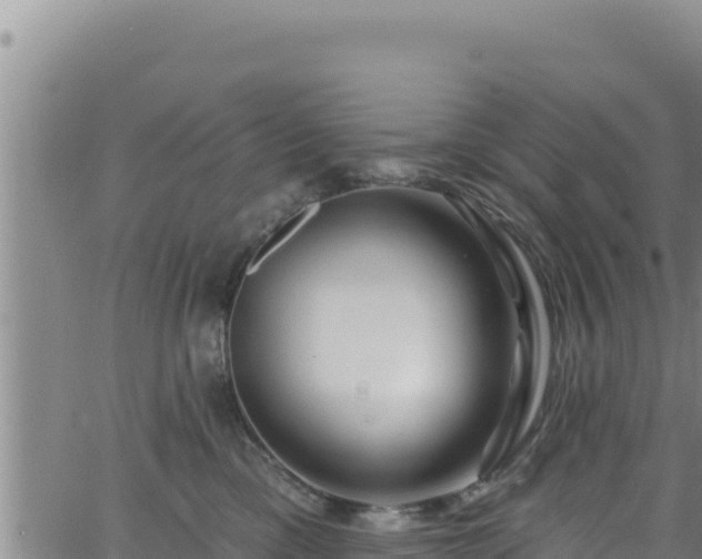 X0000062140425200512161222